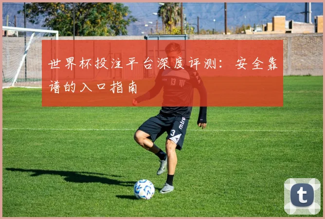 世界杯投注平台深度评测：安全靠谱的入口指南
