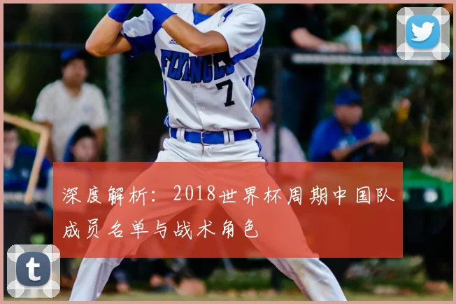 深度解析：2018世界杯周期中国队成员名单与战术角色