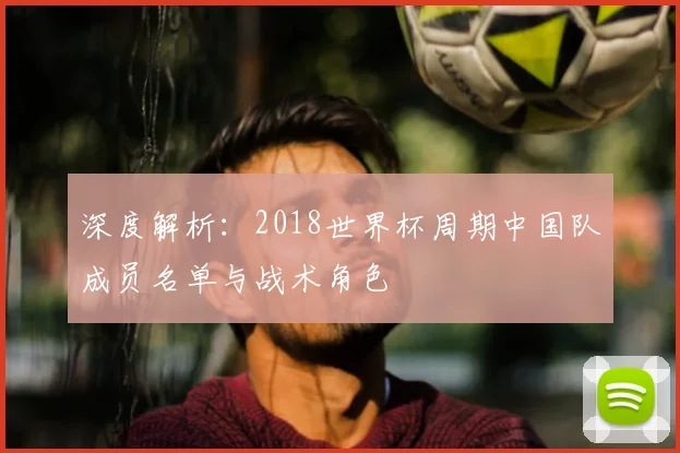 深度解析：2018世界杯周期中国队成员名单与战术角色
