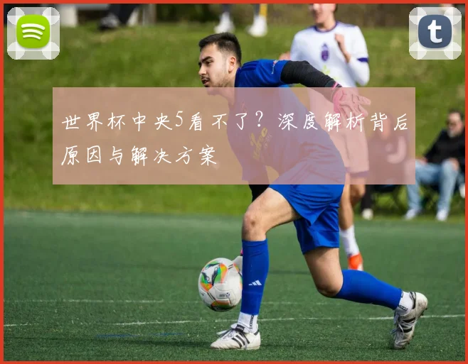 世界杯中央5看不了？深度解析背后原因与解决方案