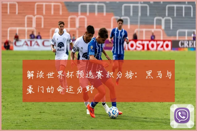 解读世界杯预选赛积分榜：黑马与豪门的命运分野
