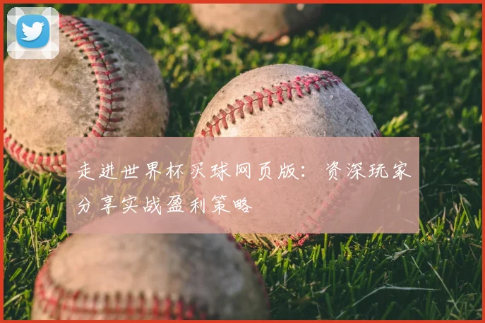 走进世界杯买球网页版：资深玩家分享实战盈利策略