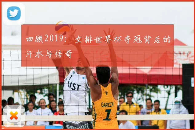 回顾2019：女排世界杯夺冠背后的汗水与传奇