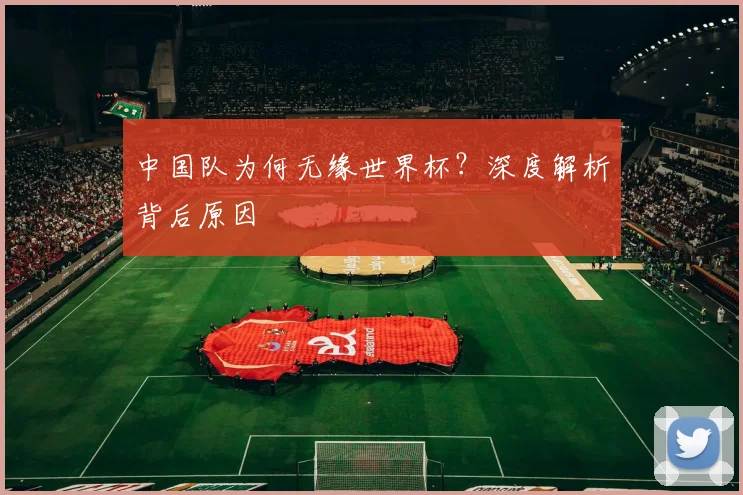 中国队为何无缘世界杯？深度解析背后原因