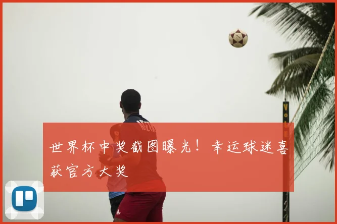 世界杯中奖截图曝光！幸运球迷喜获官方大奖