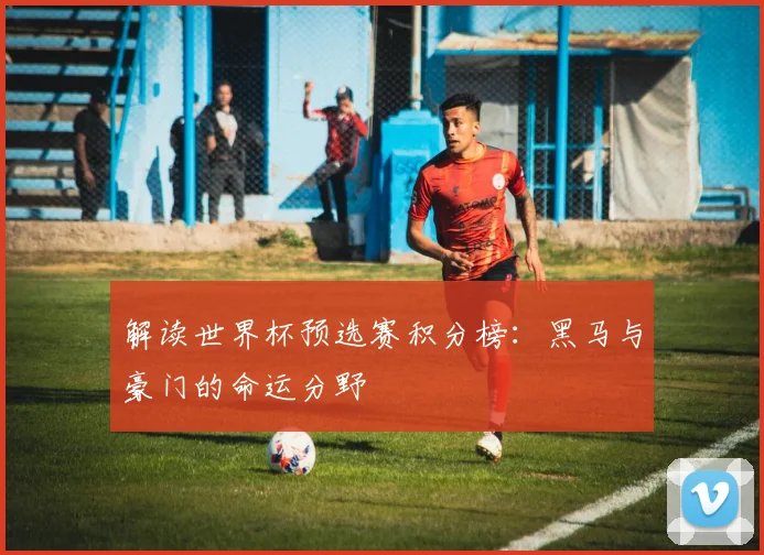 解读世界杯预选赛积分榜：黑马与豪门的命运分野